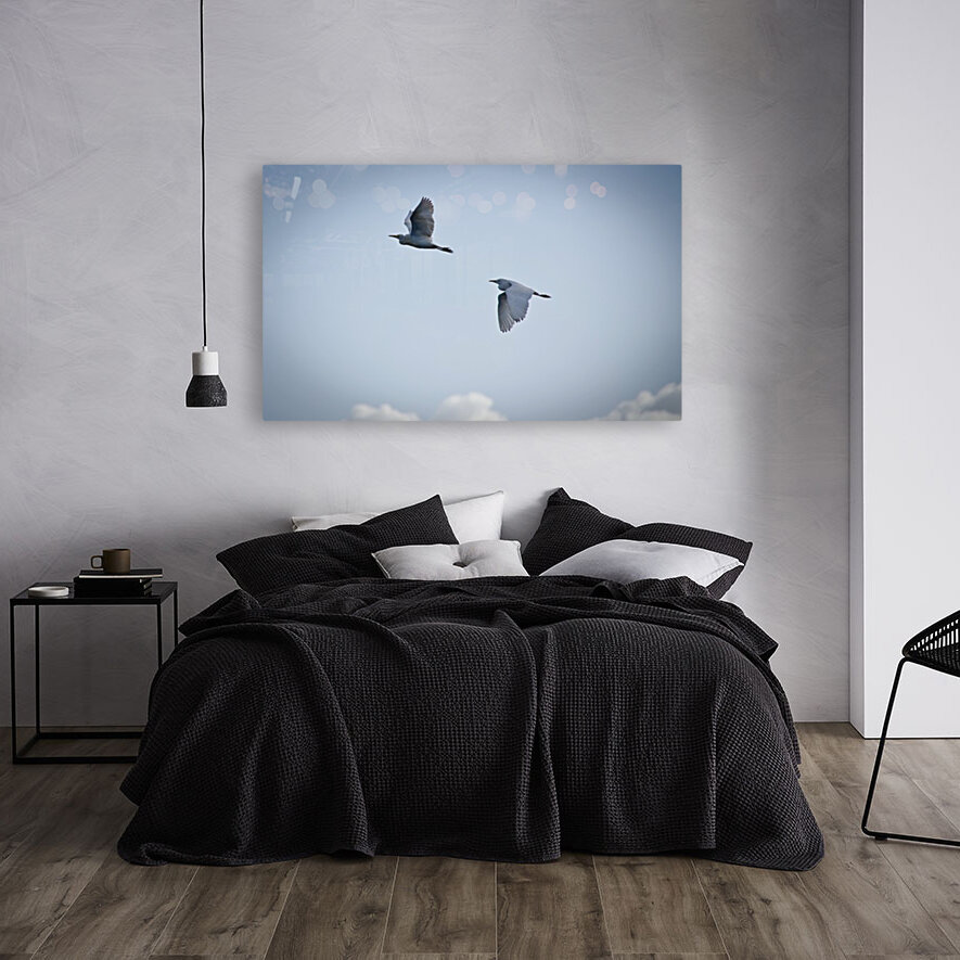 Birds duo Reproduction