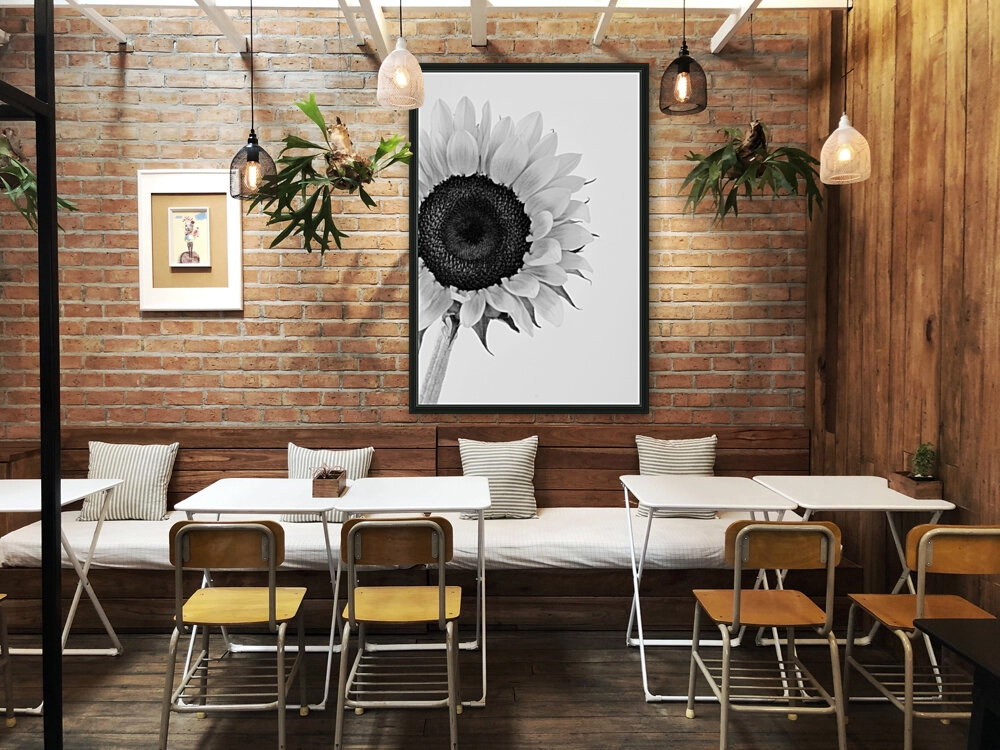 Hello Sunshine 2 Reproduction