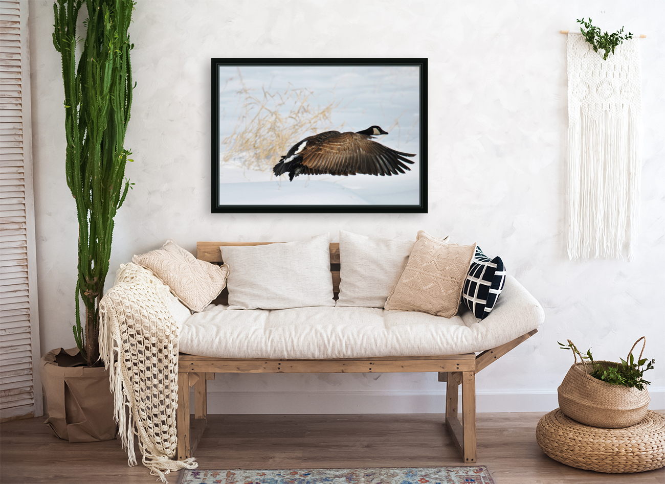 Winter Goose Reproduction