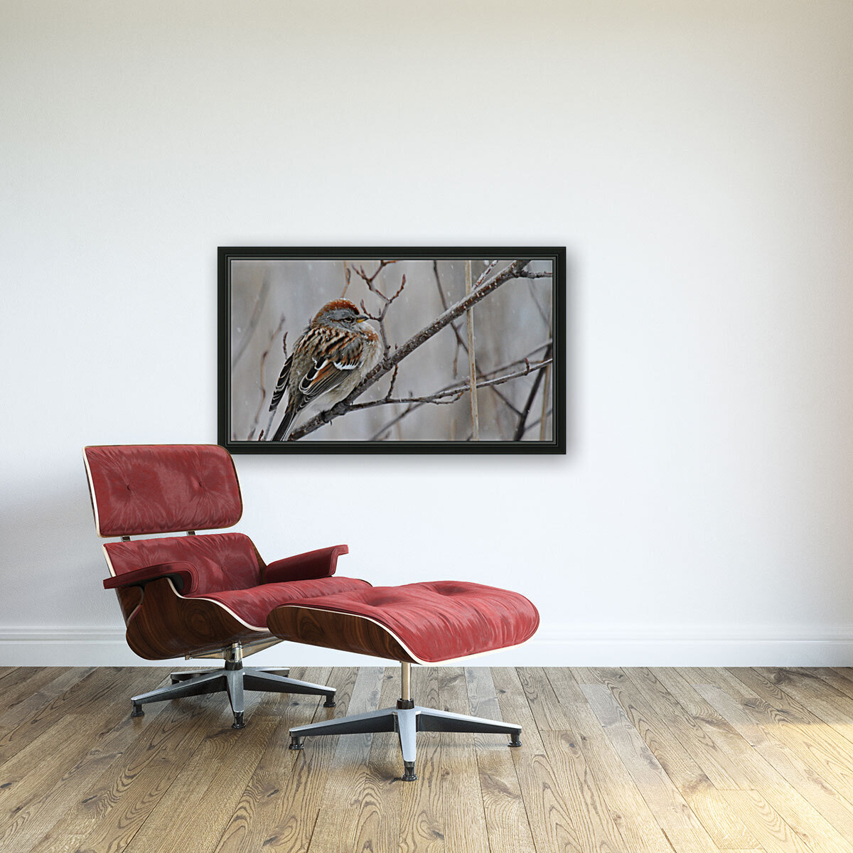 Winter Sparrow Reproduction