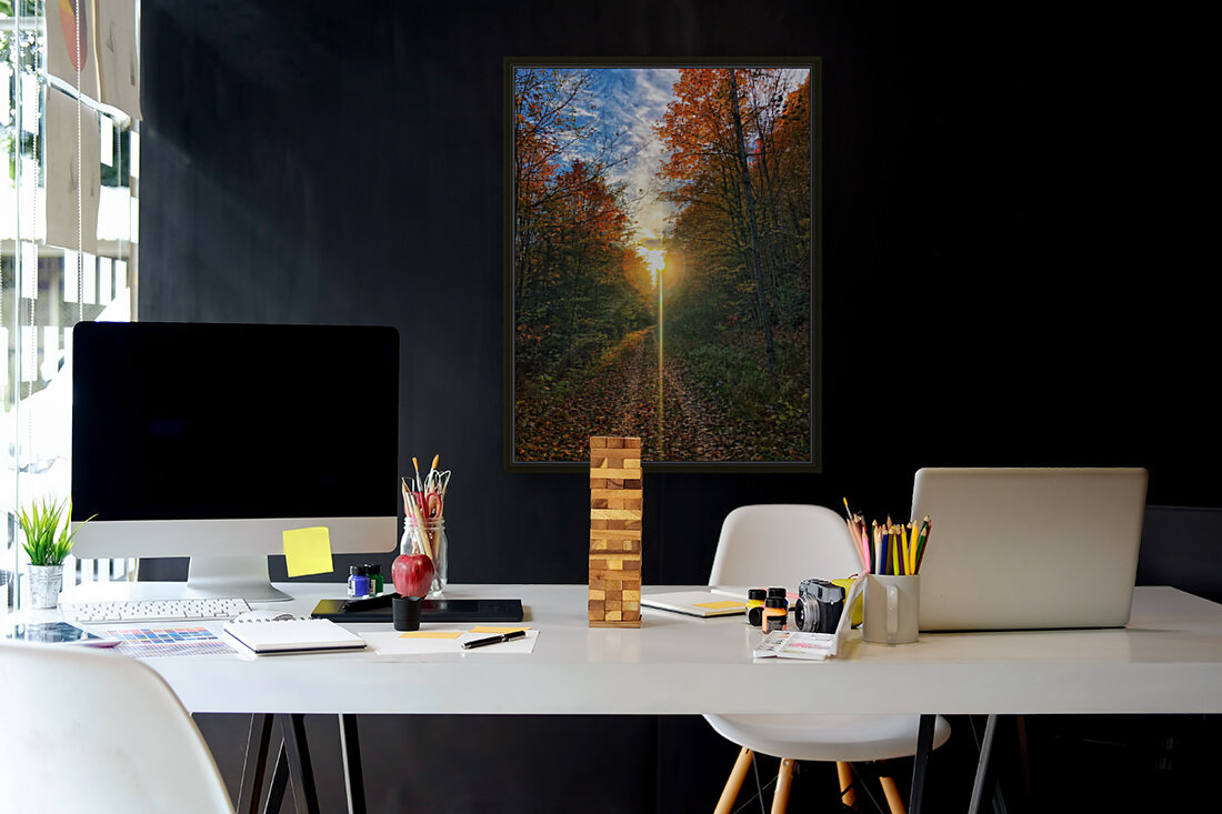 Fall Trail Reproduction