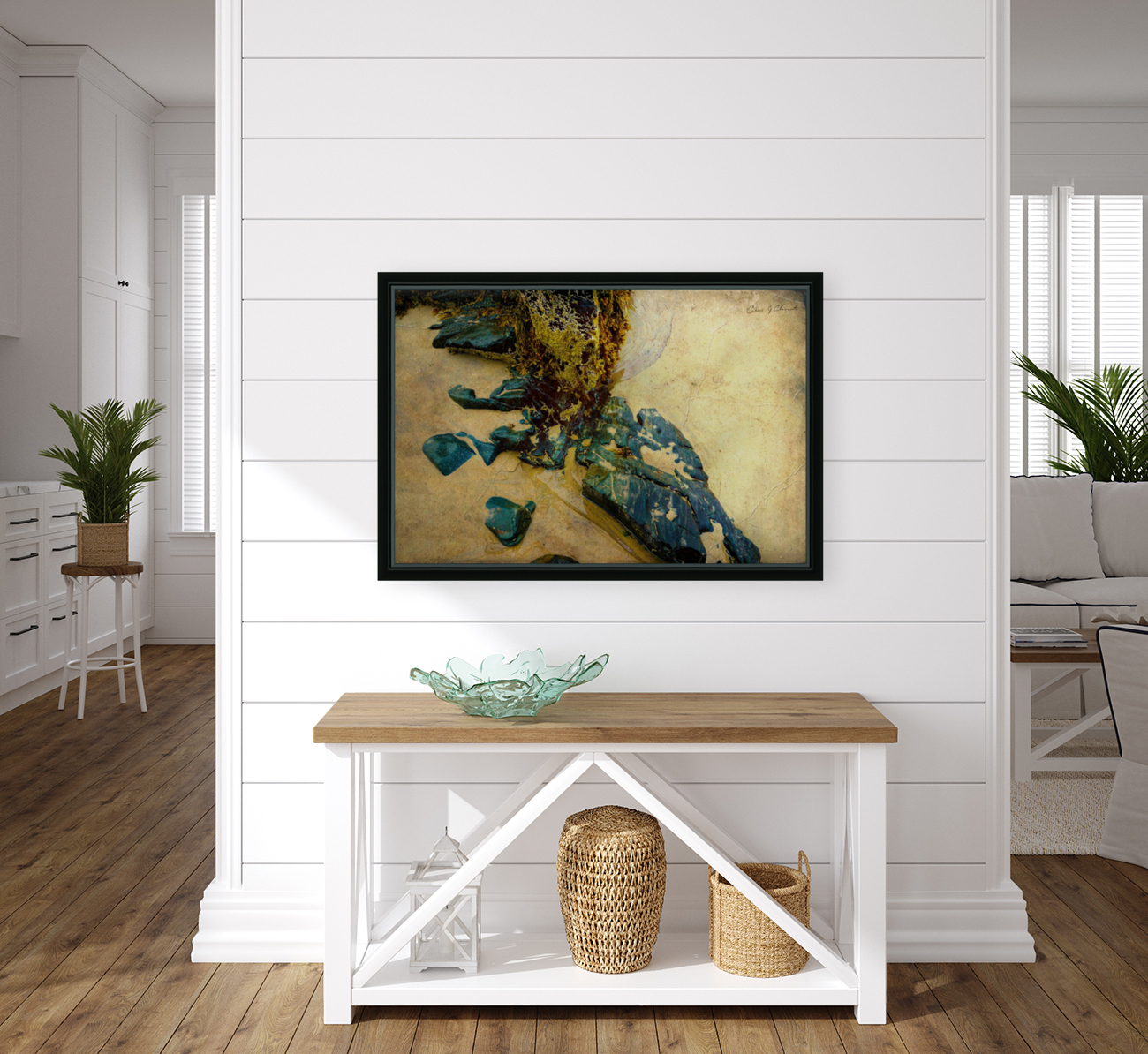  Into the Sand and Sea  Reproduction