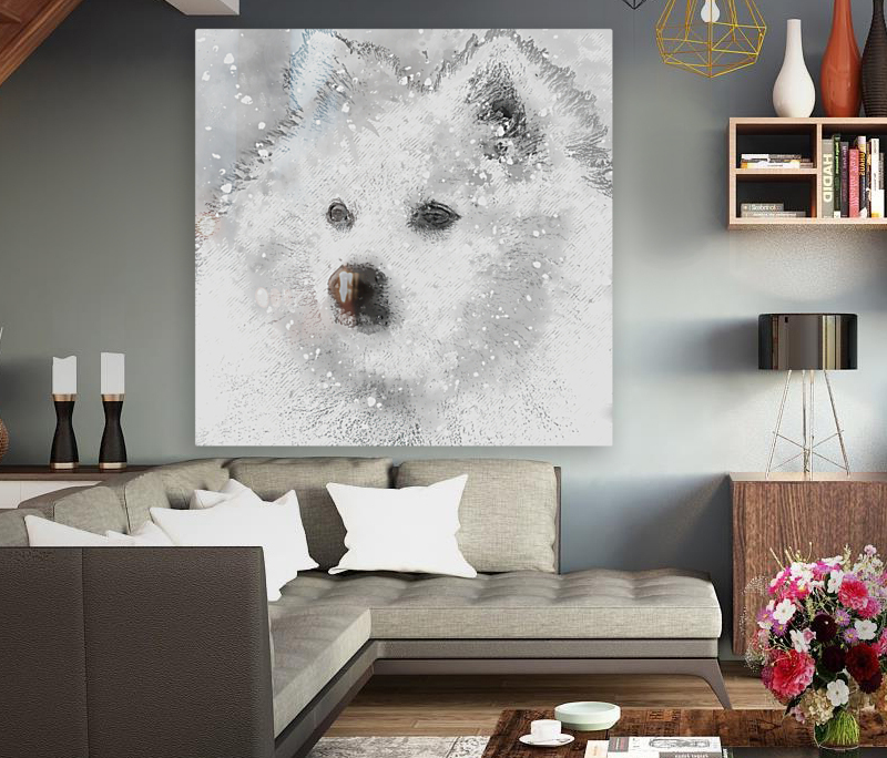  American Eskimo Snow Baby Reproduction