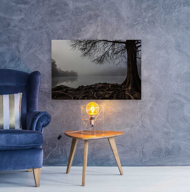 Foggy Morning at Red Bud Isle in Austin  Texas Reproduction