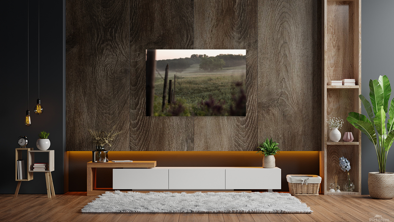 Foggy Fenceline Reproduction