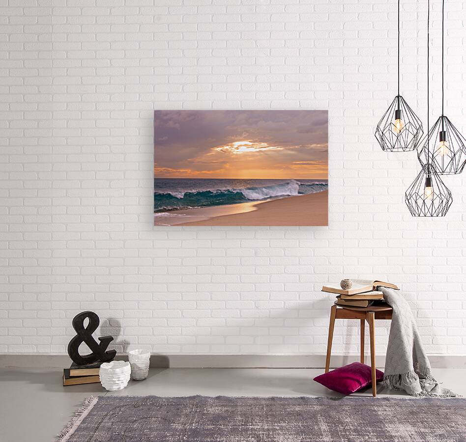 Sea of Cortez Reproduction