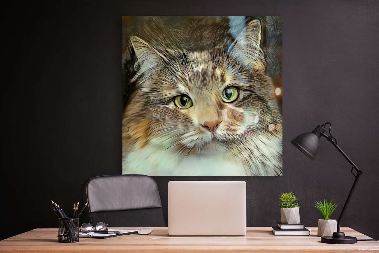 Emily An American Longhair Cat Reproduction