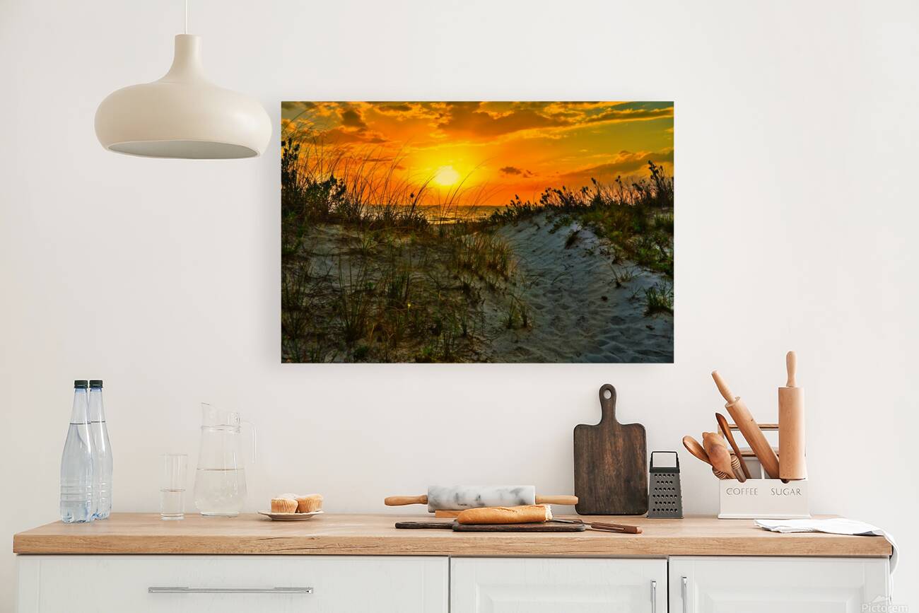 6289408E 001D 431B A222 F59D88C2962D Reproduction