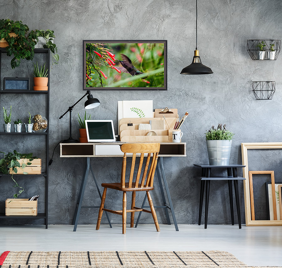 Hummingbird Reproduction