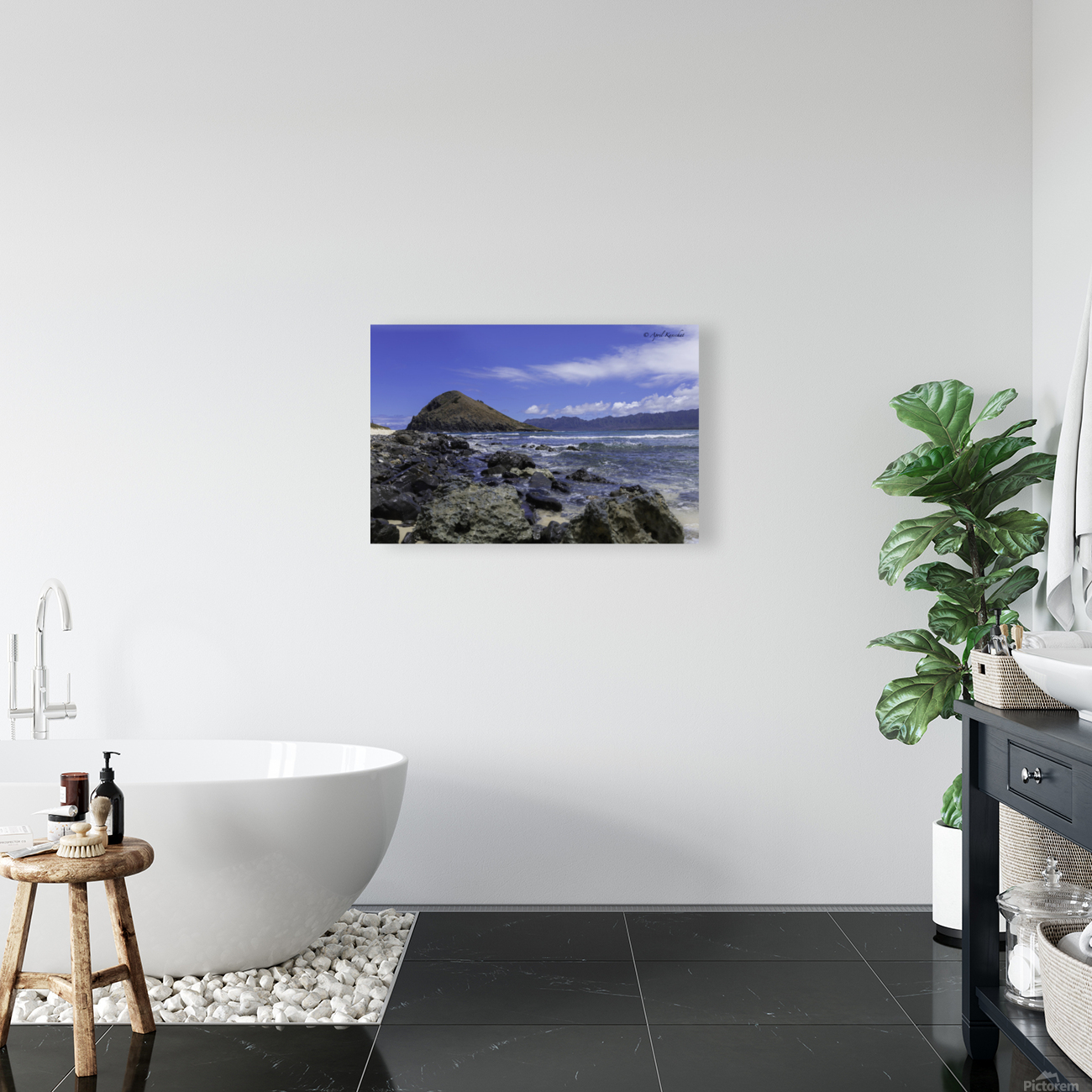 Hawaii Island Reproduction