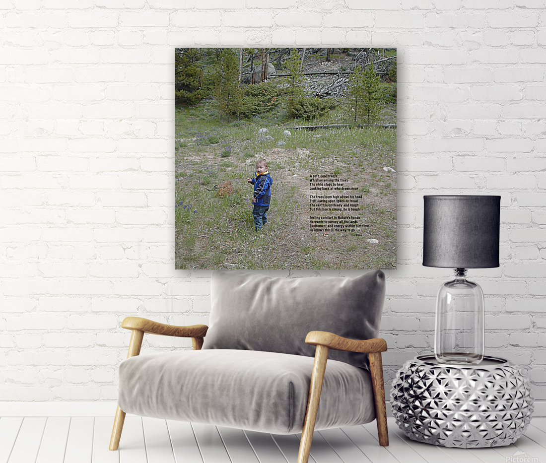 Among the Trees - square Reproduction