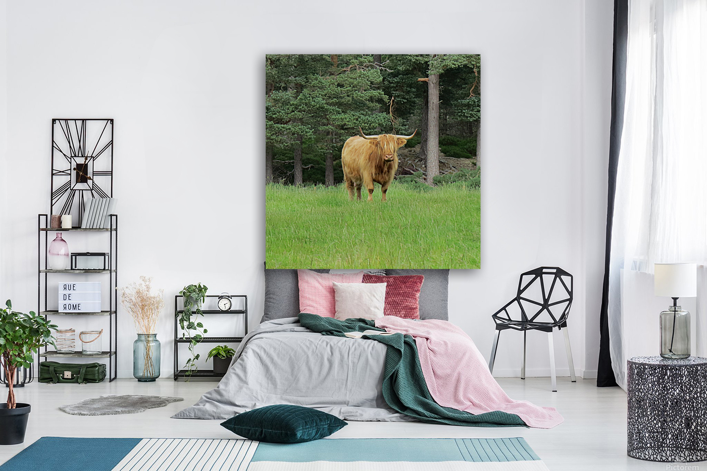 Scottish Bull - square Reproduction