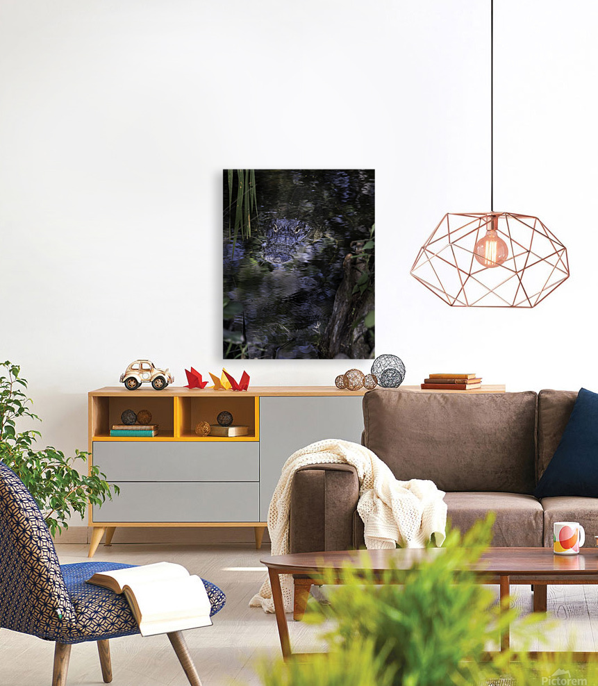 20220216  DSC9762 Edit 20x16 large 8bit Reproduction