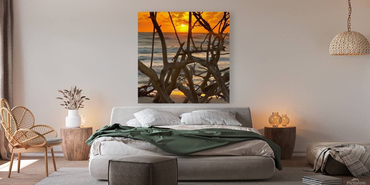 Through The Driftwood  Reproduction