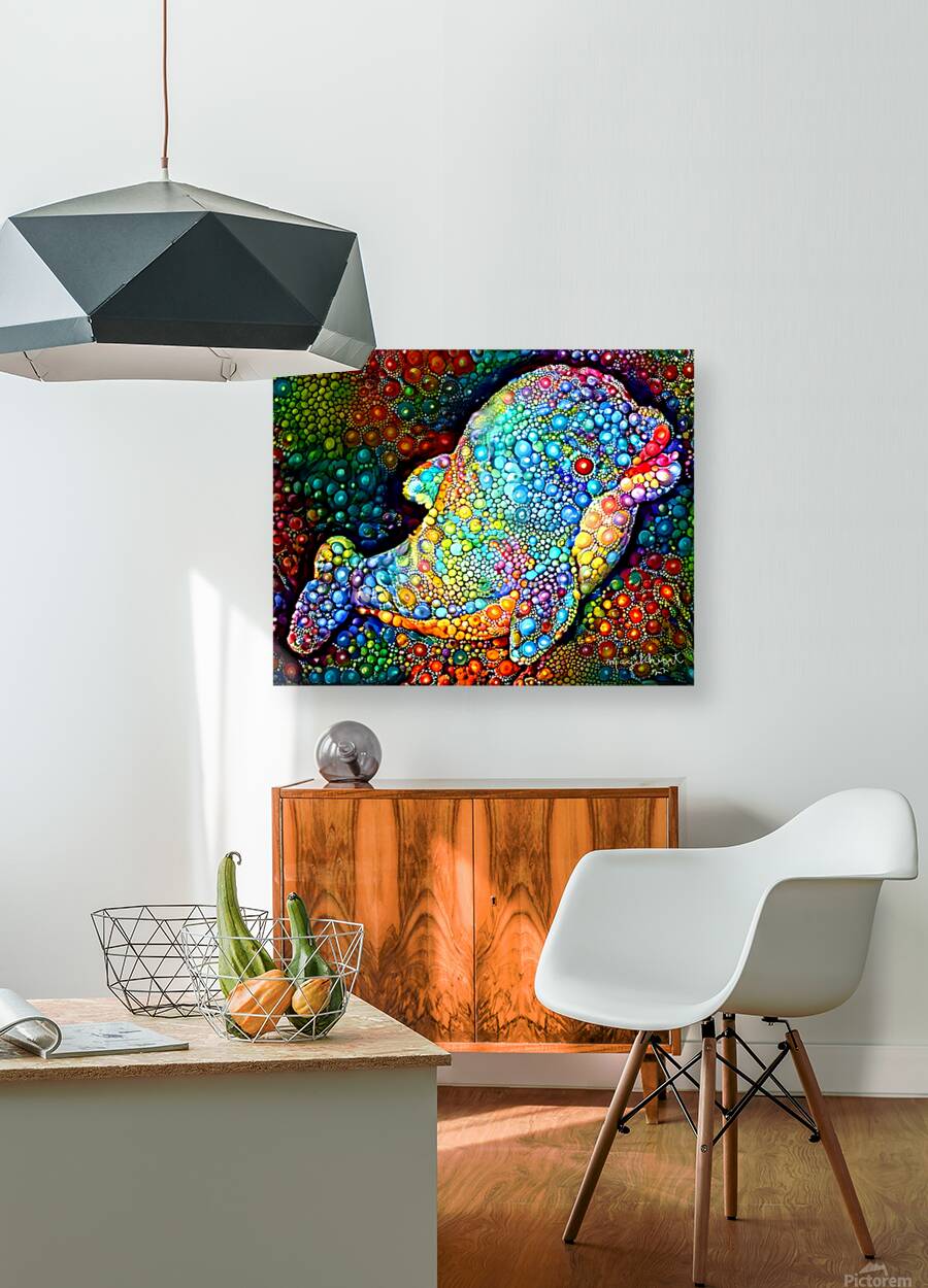 Bubbles The Baby Dolphin Reproduction