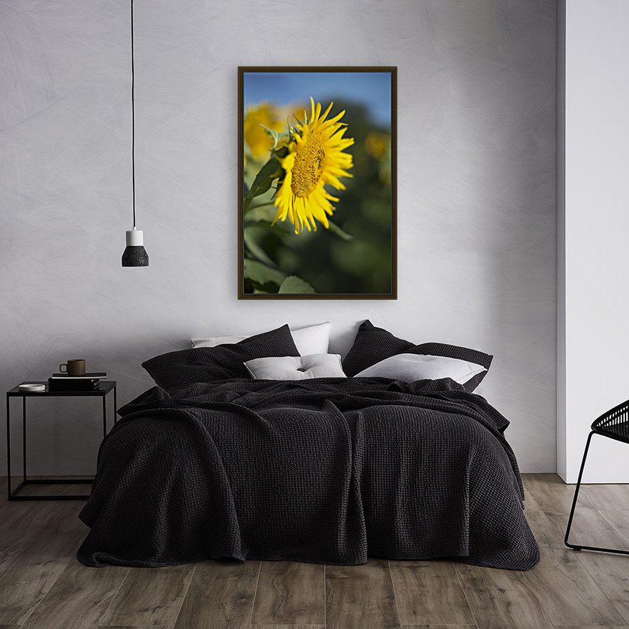 Sunflower Reproduction