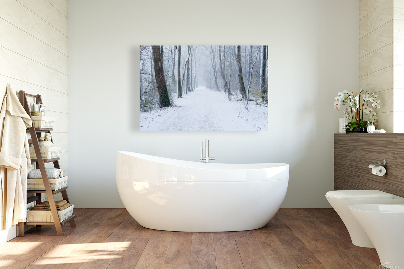 Path in a forest under the snow in winter Reproduction