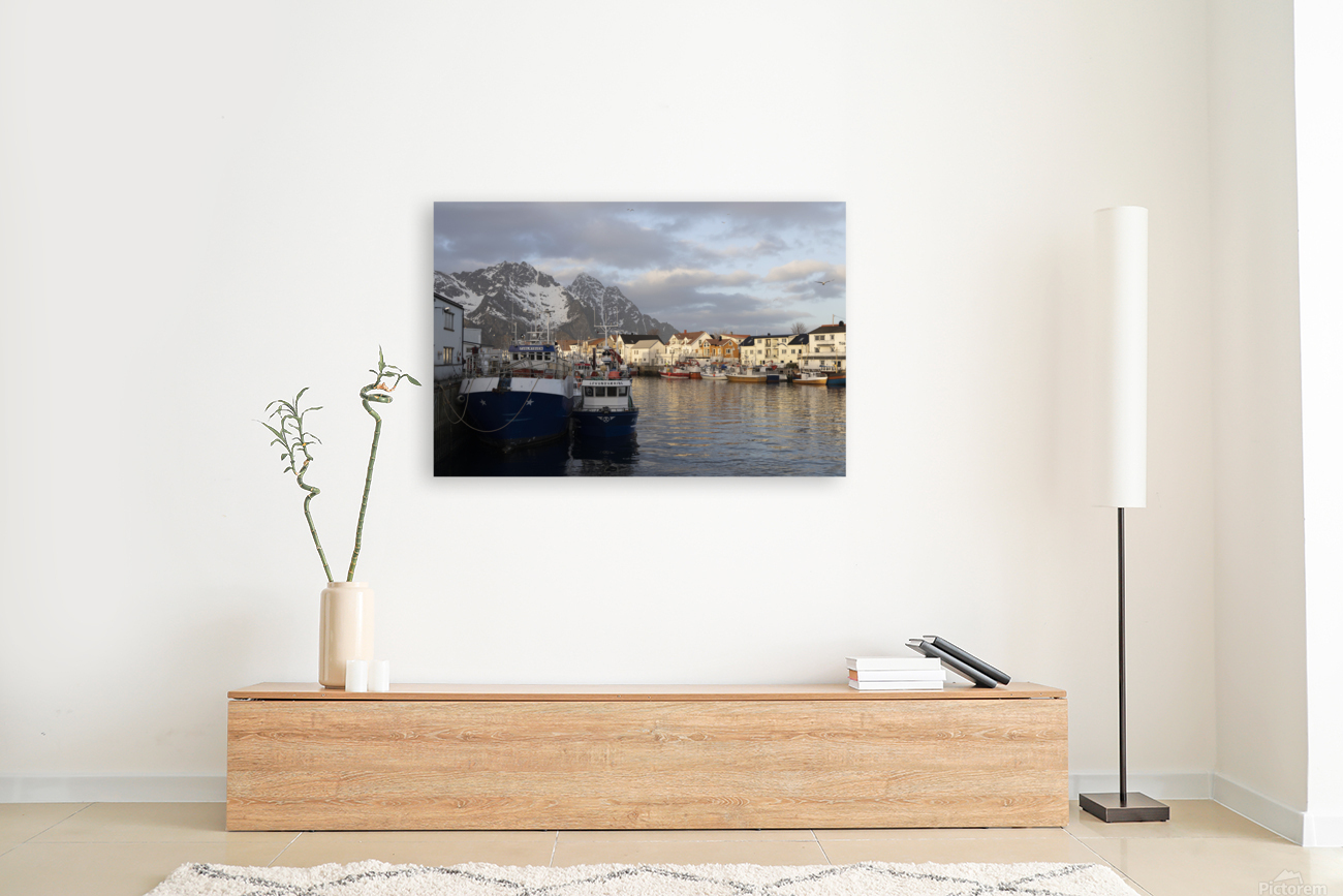 Fishers harbour Reproduction