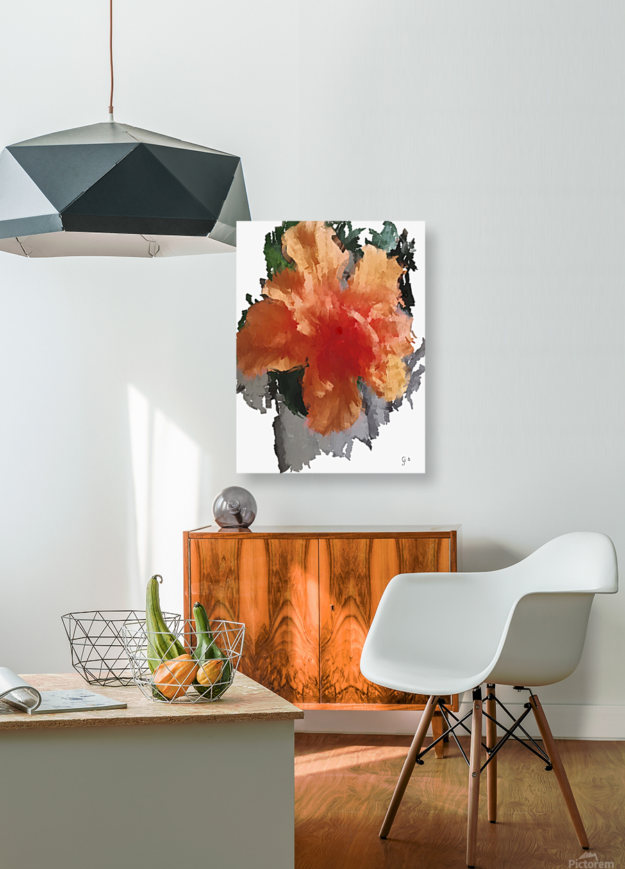 Hibiscus double Reproduction