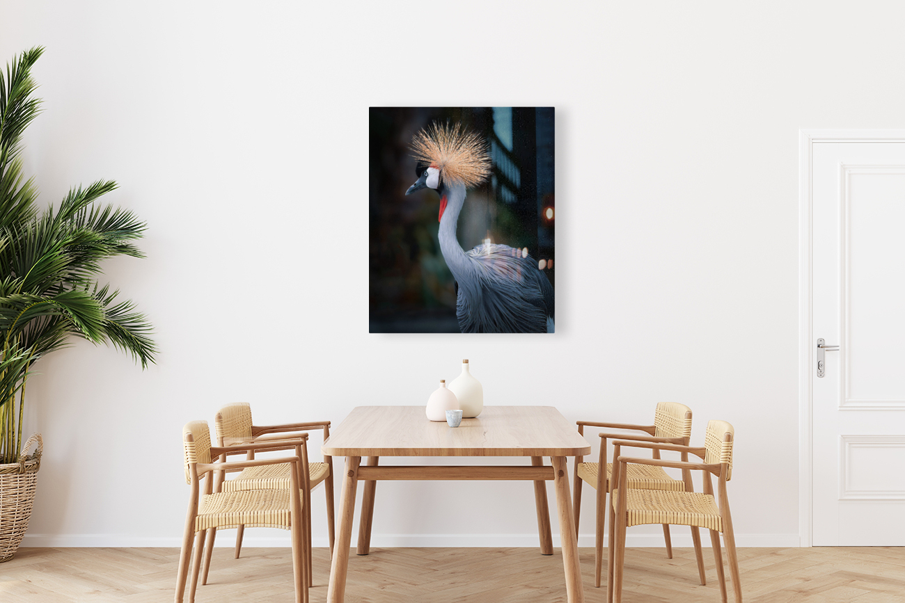 AfricanCrowned  Crane Reproduction