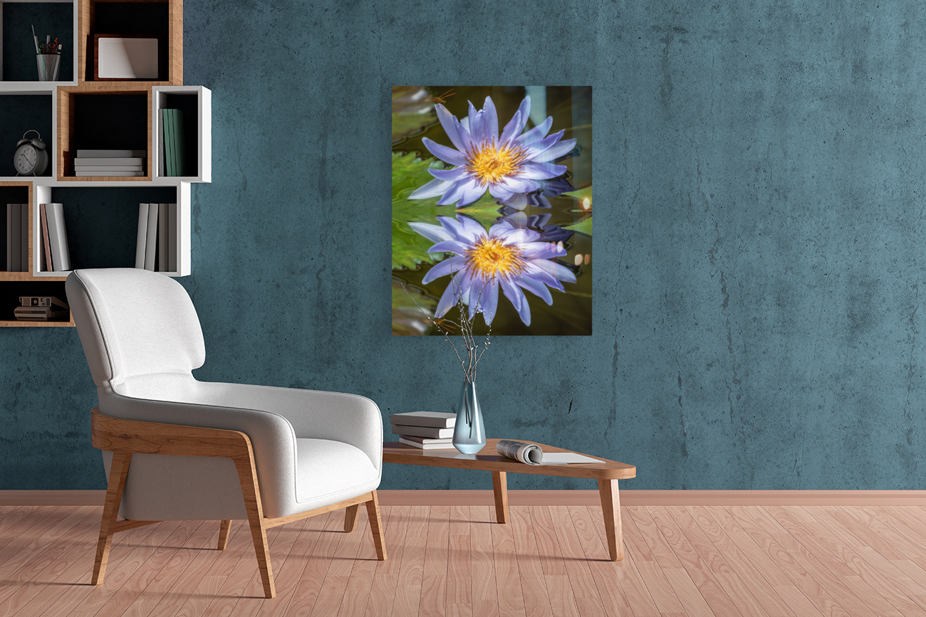 Water Lilies Reproduction