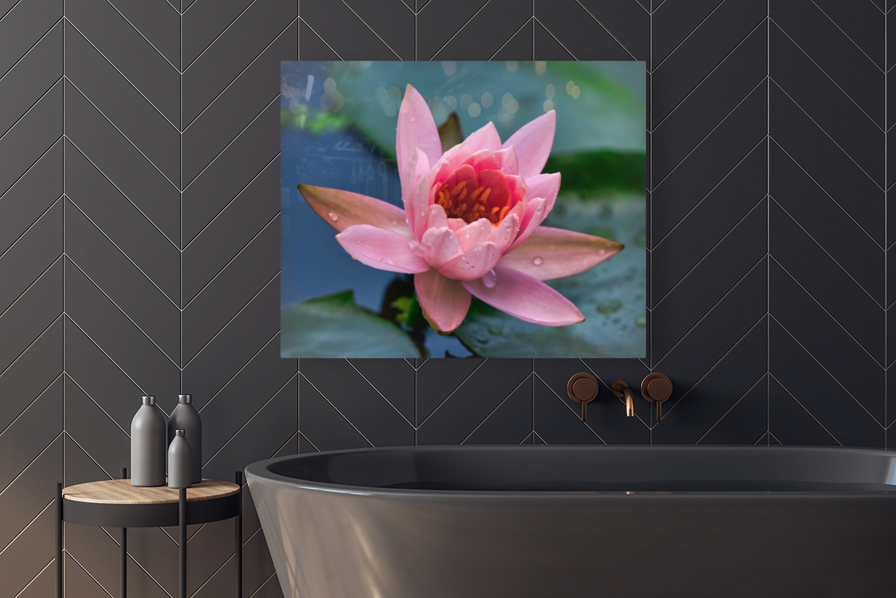   Water Lilies Reproduction