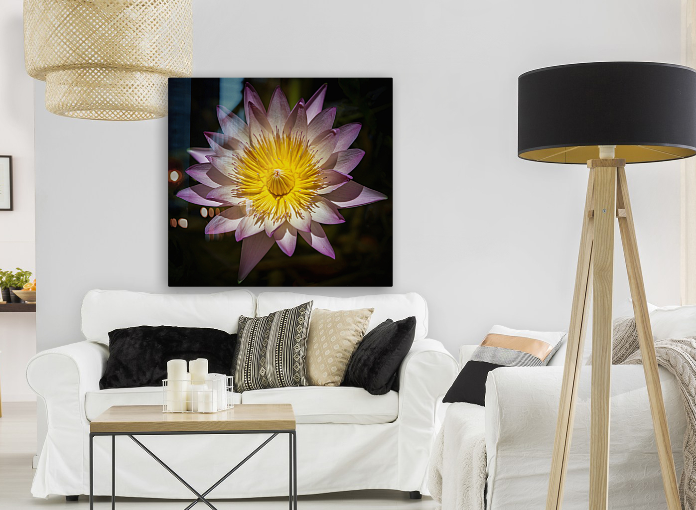    Water Lilies  Reproduction