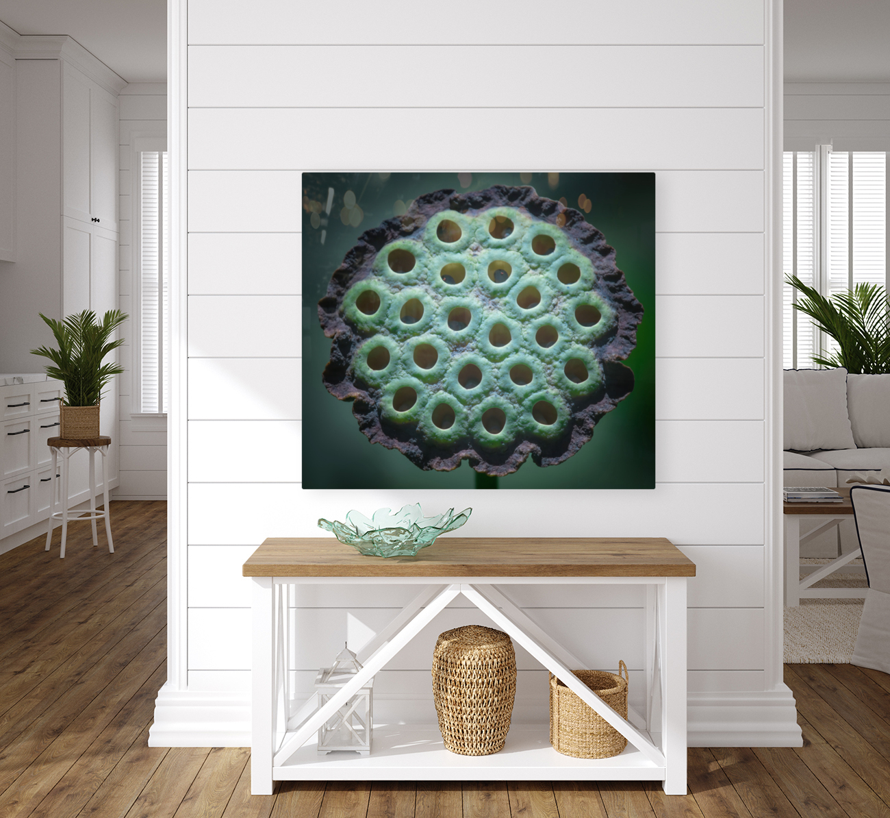 Fabulous Seed Pod of the Lotus Flower Reproduction