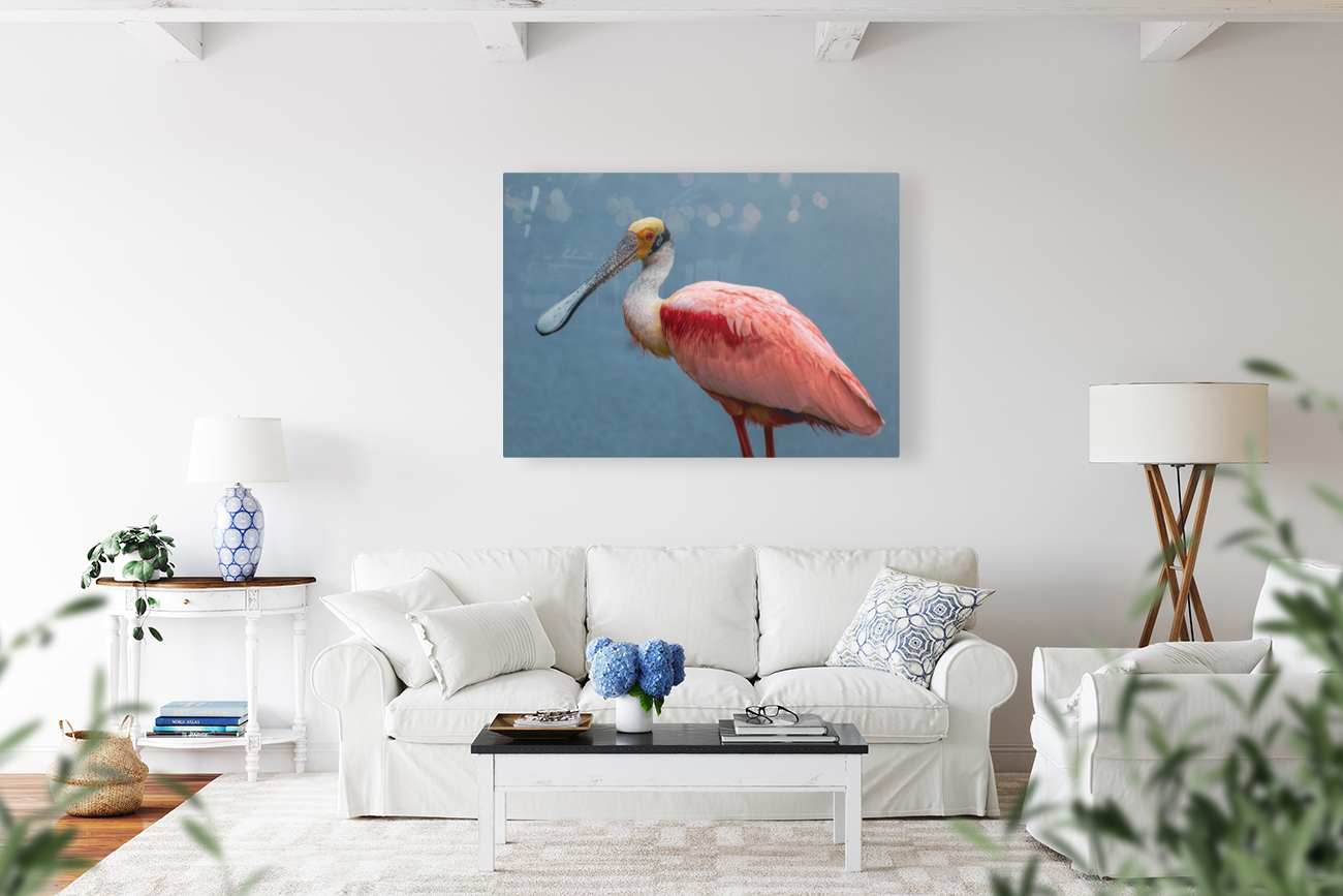 Roseate Spoonbill Reproduction