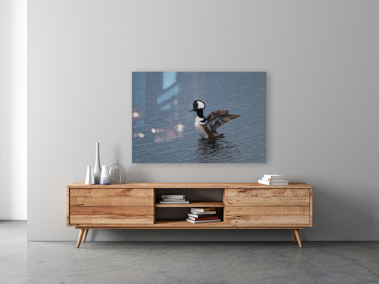 Hooded Merganser  Reproduction
