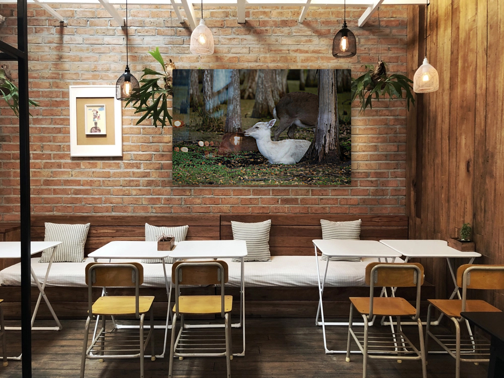 Cypress Forest Florida  Reproduction