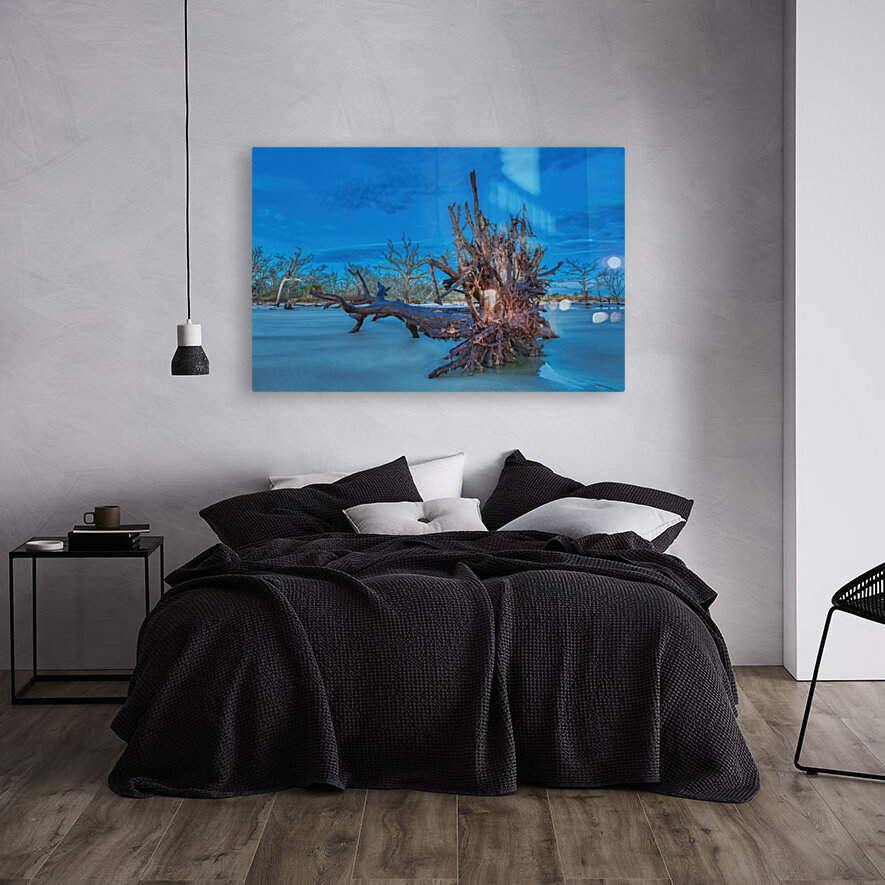 Driftwood Beach Reproduction