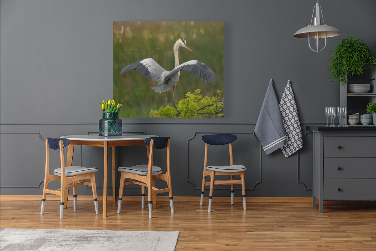 BLUE HERON VIERA  Reproduction