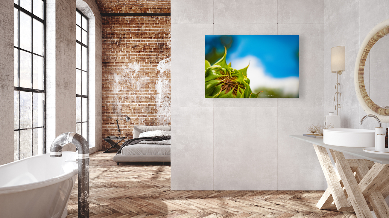 New Beginnings Reproduction