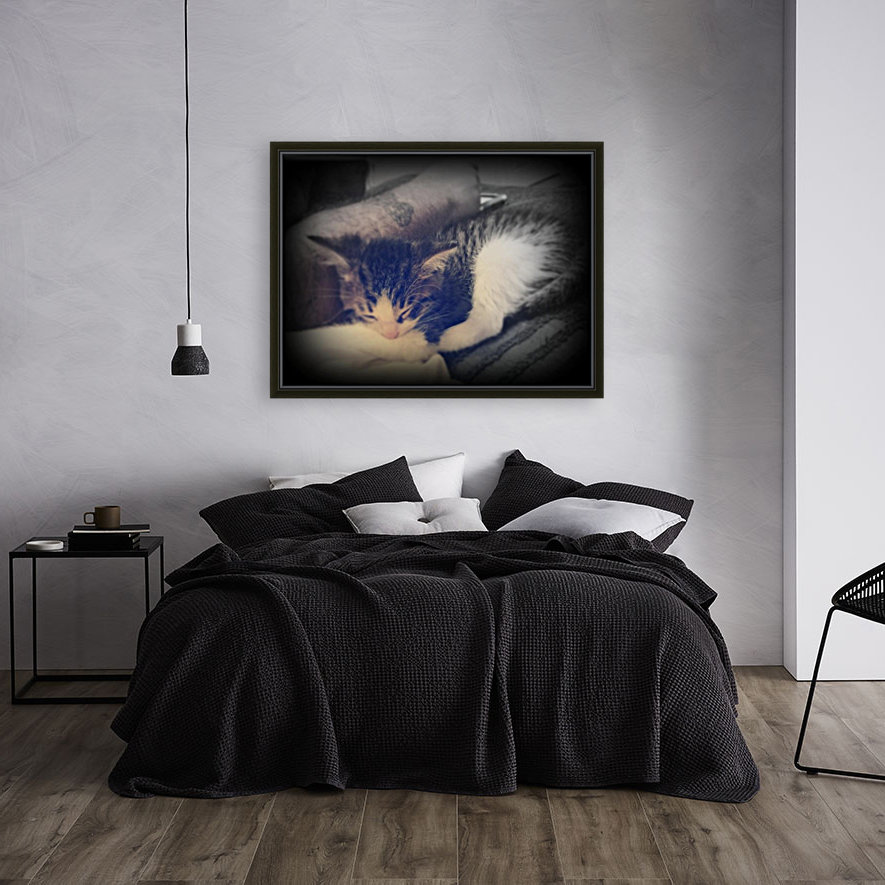 sleepy cortez Reproduction