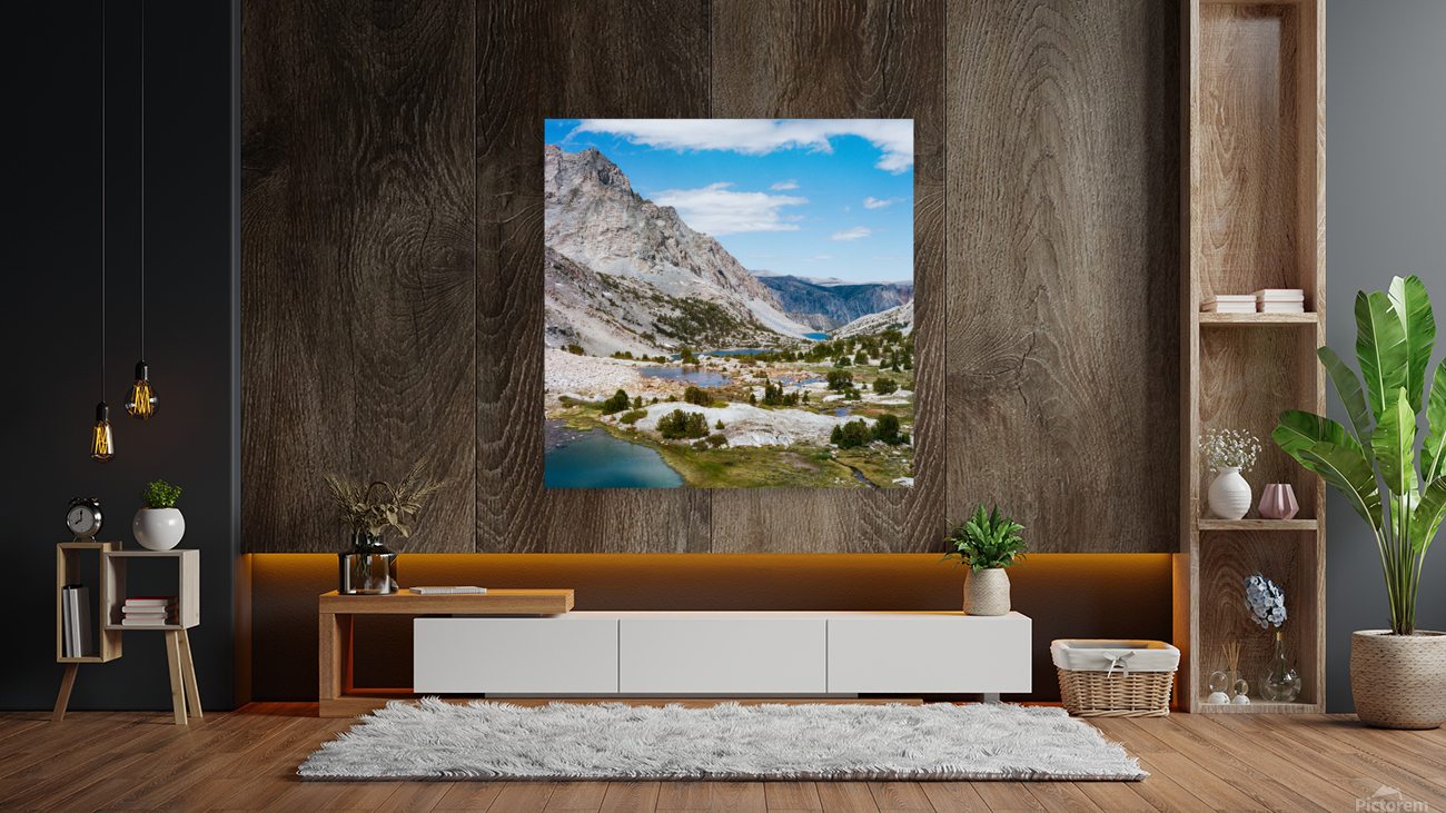 Puite Pass Reproduction