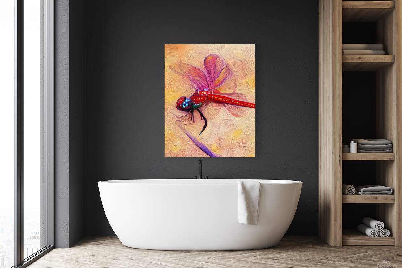 The Mystic Dragonfly Reproduction