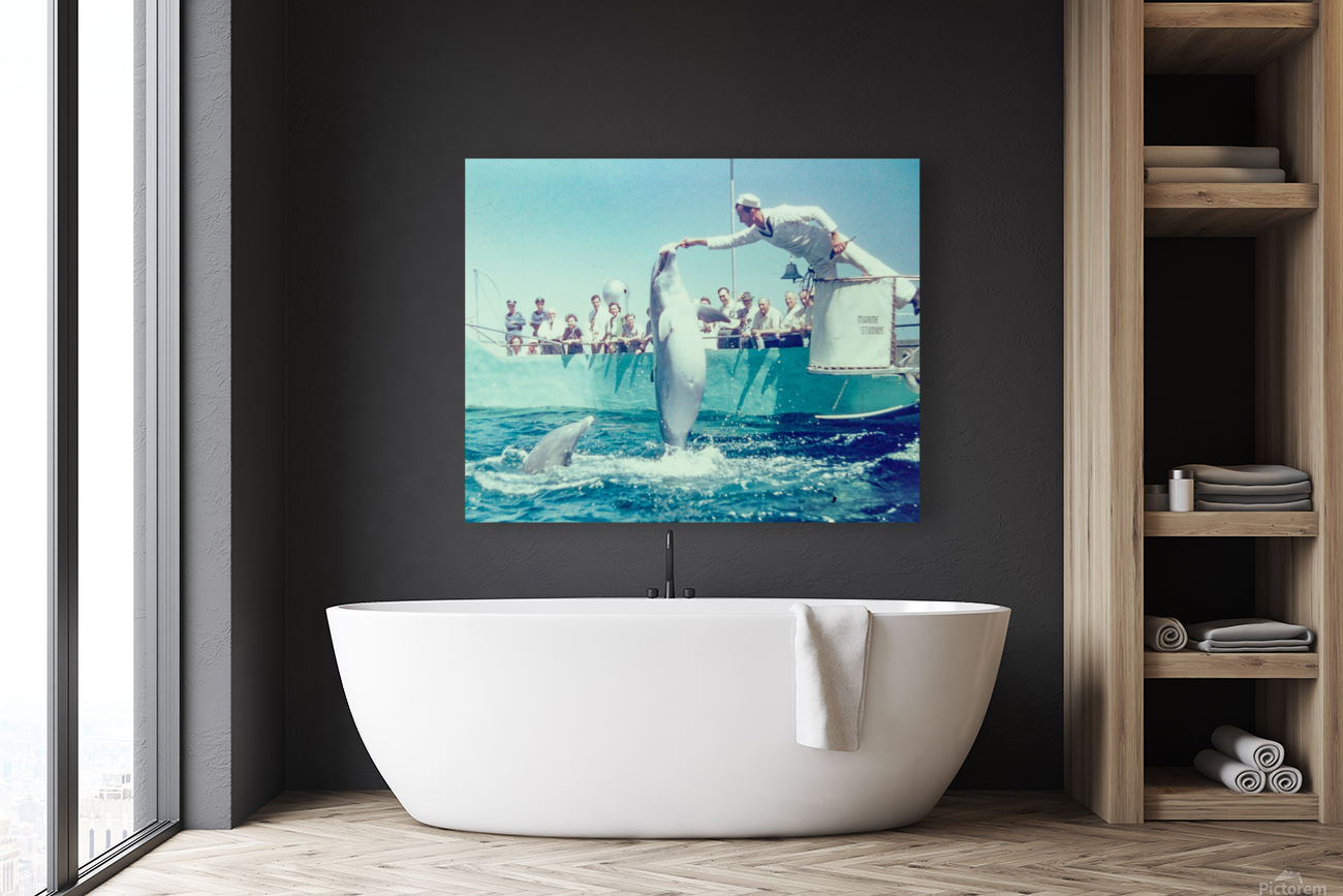 Found and Restored - Here Mammal Mammal  - Kodachrome Reproduction