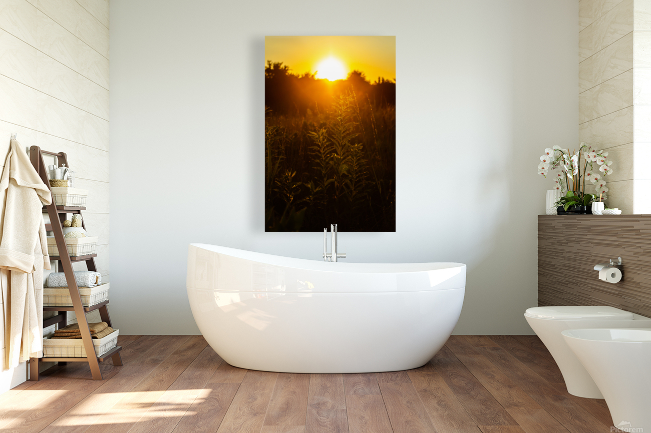 Nature Photography - A Crown - Indian Camp Creek Wentzville Reproduction