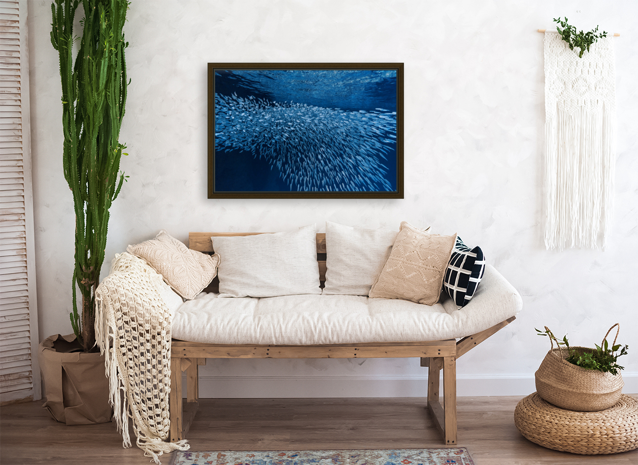 Schooling Fish Swallows Cave Tonga Reproduction