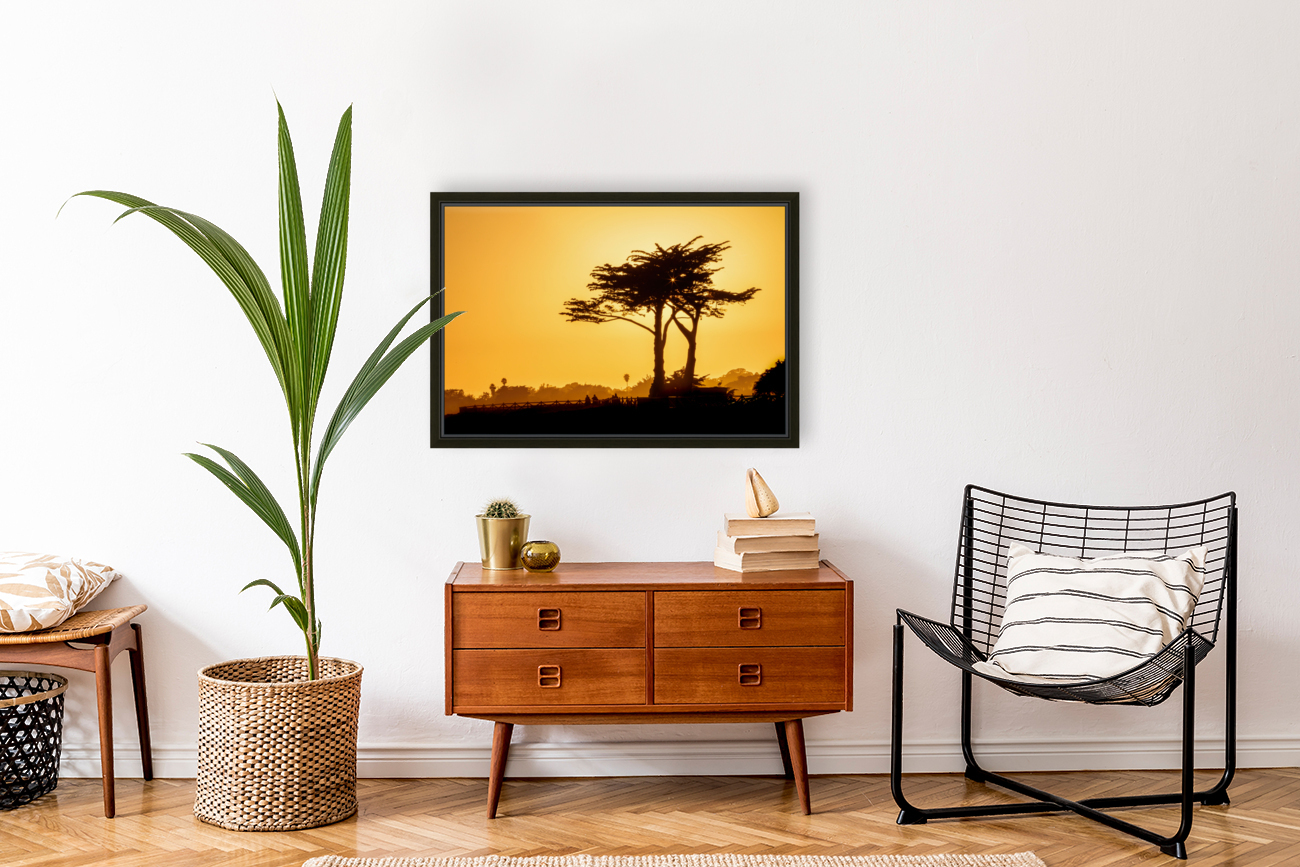 Sunset Tree Silhouette Reproduction