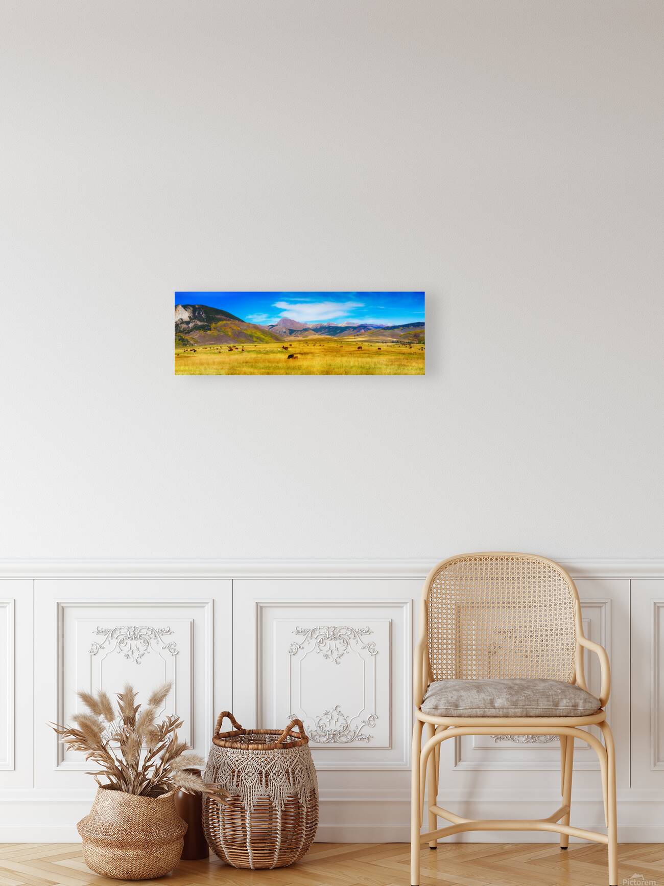 Cattle Grazing Autumn Panorama Reproduction