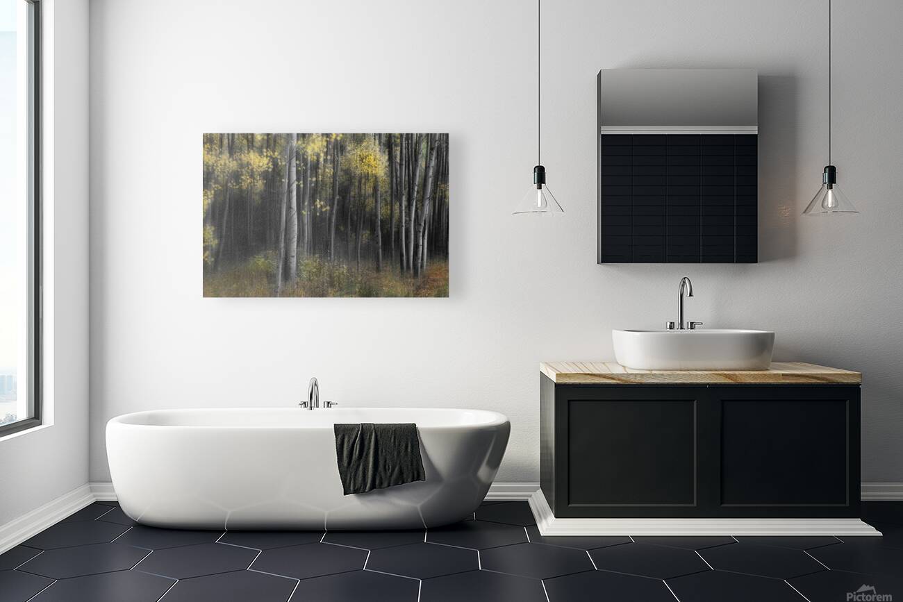 Aspen Tree Grove Into Darkness Reproduction