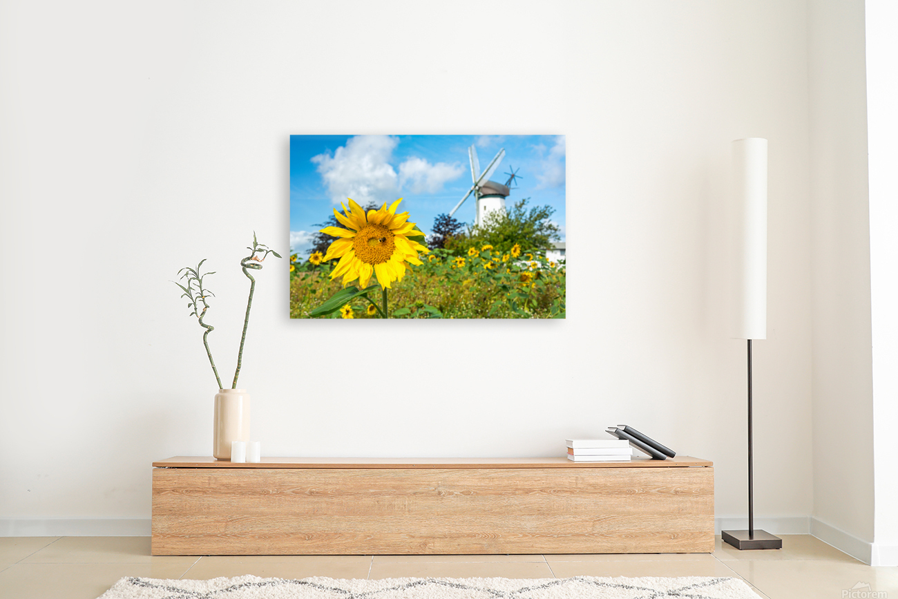 Windmill Garden Reproduction