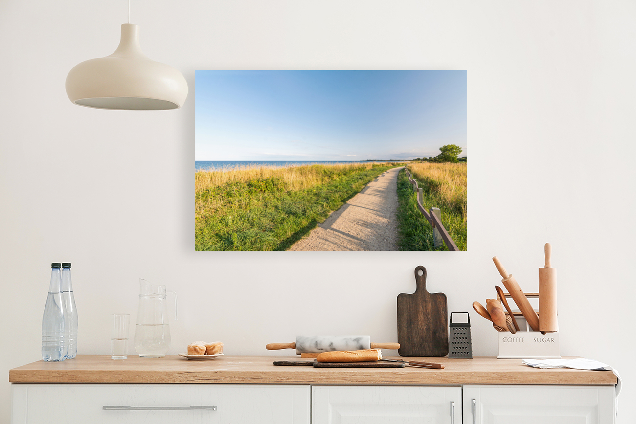 Footpath at the Baltic Sea Reproduction
