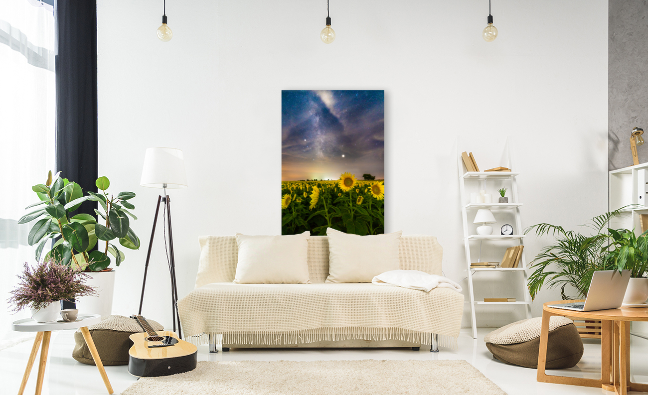 Sunflower Milky Way Stars Reproduction