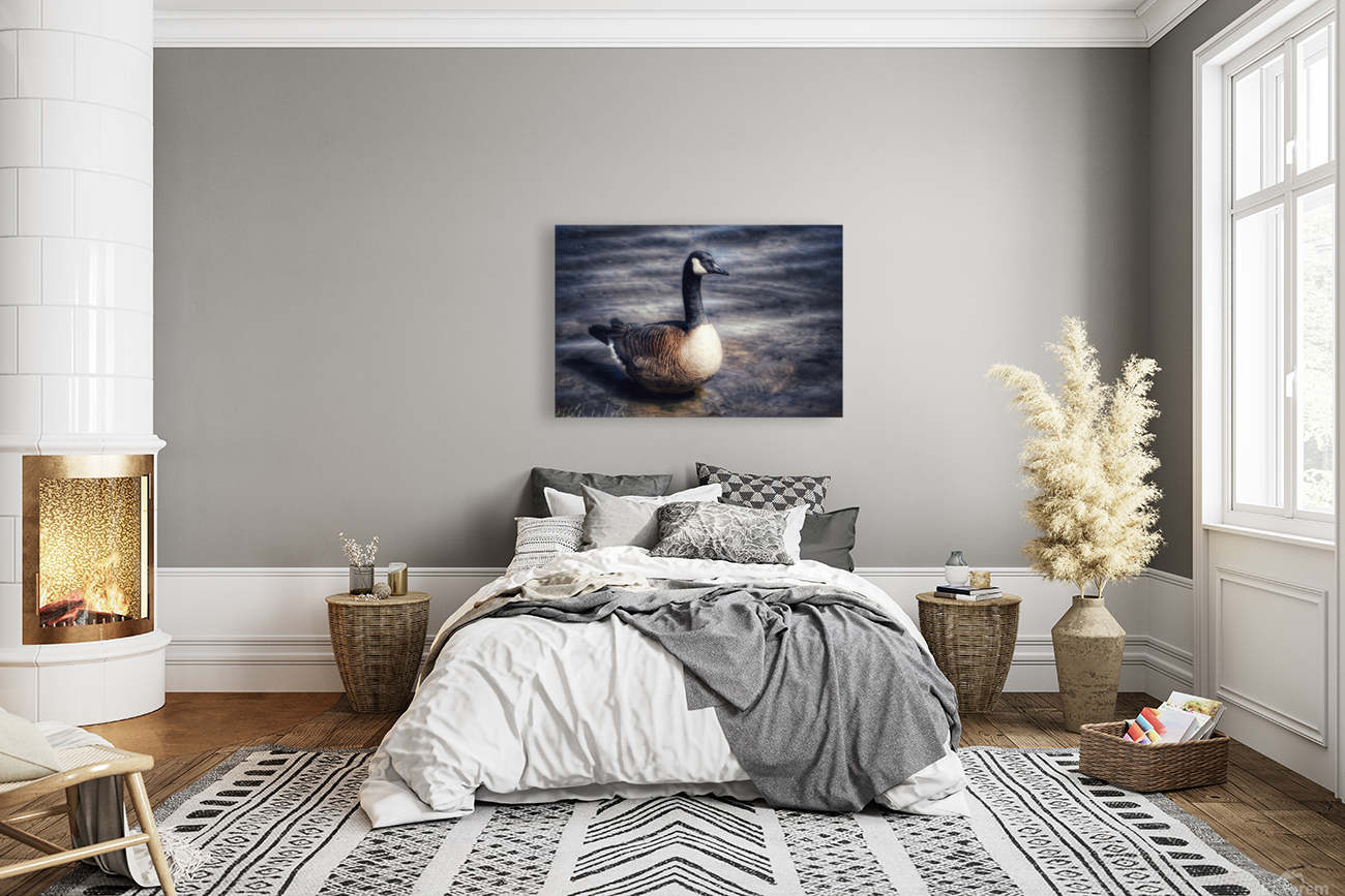 Canada Goose  Reproduction