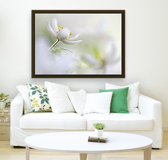 White Spring Reproduction