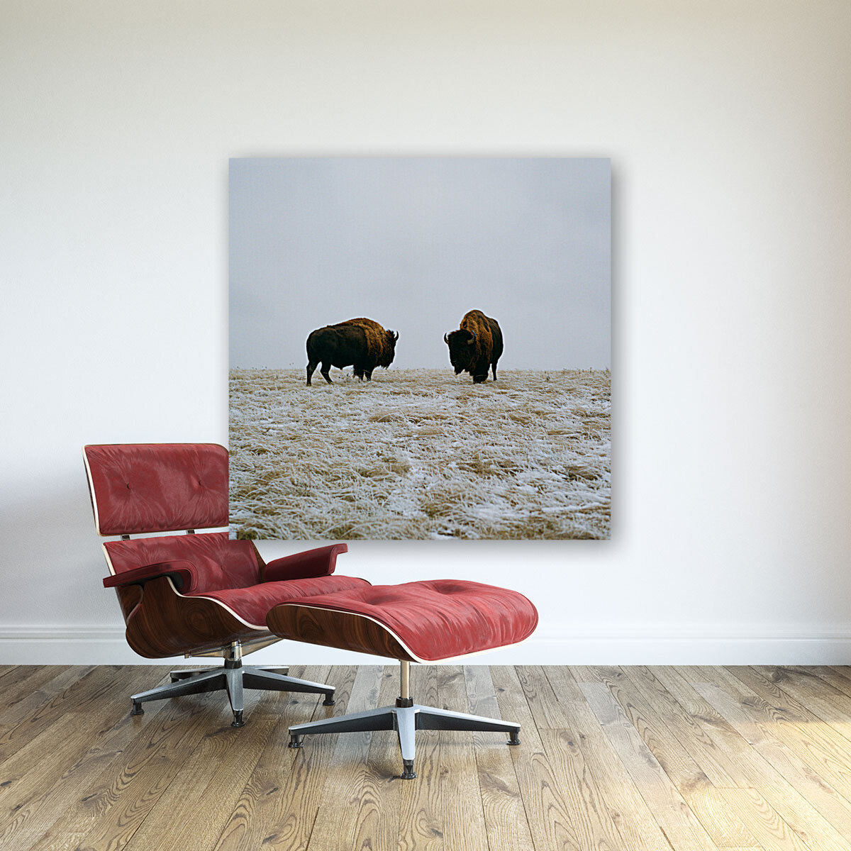 Buffalo By The Badlands Reproduction