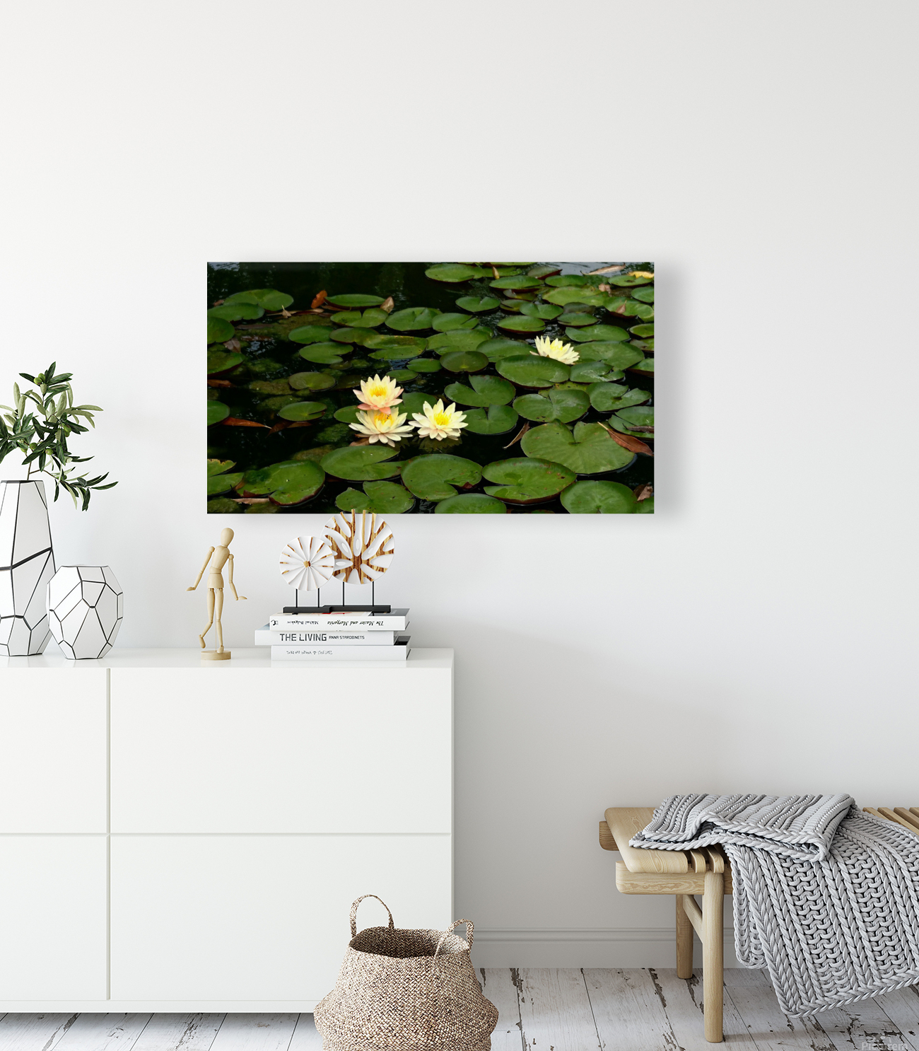 Yellow Water Lilies Reproduction